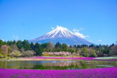 mount-fuji-8010752_1920